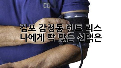 🚗 김포 감정동 렌트, 리스? 🤔 나에게 딱 맞는 선택은?